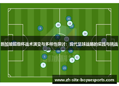 新加坡超级杯战术演变与多样性探讨:现代足球战略的实践与挑战 新加坡超级杯战术演变与多样性探讨:现代足球战略的实践与挑战