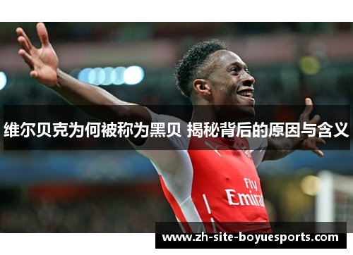 维尔贝克为何被称为黑贝 揭秘背后的原因与含义