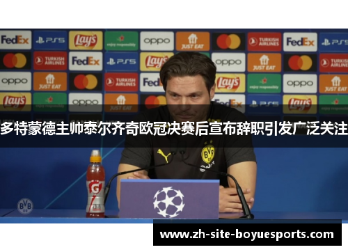 多特蒙德主帅泰尔齐奇欧冠决赛后宣布辞职引发广泛关注